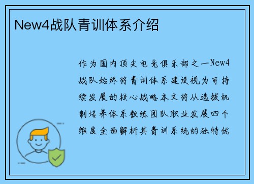 New4战队青训体系介绍